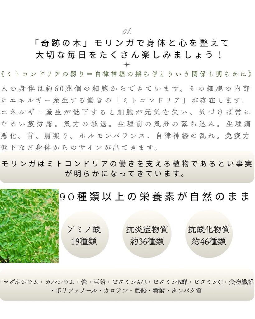 最近の天候や、夏バテの後遺症？